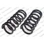 LESJOFORS 4114252 Two Front Coil Springs