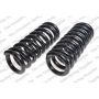 LESJOFORS 4121253 Two Front Coil Springs