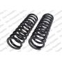 LESJOFORS 4127506 Two Front Coil Springs