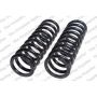 LESJOFORS 4127531 Two Front Coil Springs