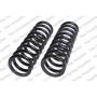 LESJOFORS 4127534 Two Front Coil Springs
