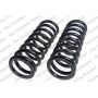 LESJOFORS 4127546 Two Front Coil Springs