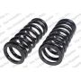 LESJOFORS 4127551 Two Front Coil Springs