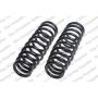 LESJOFORS 4135709 Two Front Coil Springs