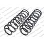 LESJOFORS 4142101 Two Front Coil Springs