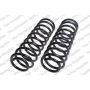 LESJOFORS 4142118 Two Front Coil Springs