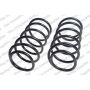 LESJOFORS 4144203 Two Front Coil Springs