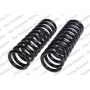 LESJOFORS 4162017 Two Front Coil Springs