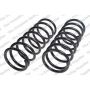 LESJOFORS 4180003 Two Front Coil Springs
