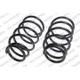 LESJOFORS 4192503 Two Front Coil Springs