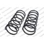 LESJOFORS 4192509 Two Front Coil Springs
