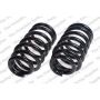 LESJOFORS 4192513 Two Front Coil Springs