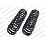 LESJOFORS 4192515 Two Front Coil Springs