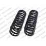 LESJOFORS 4192516 Two Front Coil Springs