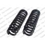 LESJOFORS 4192519 Two Front Coil Springs