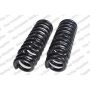 LESJOFORS 4192521 Two Front Coil Springs