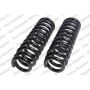 LESJOFORS 4192526 Two Front Coil Springs