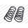 LESJOFORS 4192530 Two Front Coil Springs