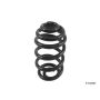 LESJOFORS 4208450 One Rear Coil Spring