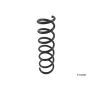 LESJOFORS 4208453 One Rear Coil Spring