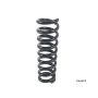 LESJOFORS 4256809 One Rear Coil Spring