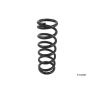 LESJOFORS 4256830 One Rear Coil Spring