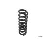 LESJOFORS 4256869 One Rear Coil Spring