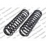 LESJOFORS 4414902 Two Rear Coil Springs