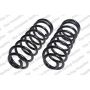 LESJOFORS 4442109 Two Rear Coil Springs