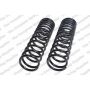 LESJOFORS 4495001 Two Rear Coil Springs