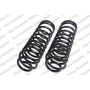LESJOFORS 4495802 Two Rear Coil Springs