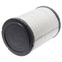 LUBER-FINER LAF3930 Luberfiner LAF3930 Radial Seal Air Filter