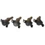 Ford Racing M-12029-3V 4.6L/5.4L 3V Ignition Coil Set