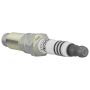 Ford Racing M-12405-3V12MM 3V Cold Spark Plug Set (12 MM Thread)