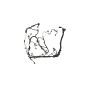Ford Racing M-12508-M50A 5.0L Coyote Auto Trans Engine Harness