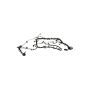 Ford Racing M-12508-M50A 5.0L Coyote Auto Trans Engine Harness