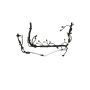 Ford Racing M-12508-M50A 5.0L Coyote Auto Trans Engine Harness