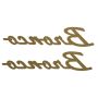 Ford Racing M-1447-BSGS 2021-2025 Bronco Classic Script Fender Badge Kit-Gloss Black