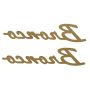 Ford Racing M-1447-BSMB 2021-2025 Bronco Classic Script Fender Badge Kit-Matte Black