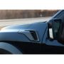 Ford Racing M-16026-FG 2021-2025 F-150 Raptor Carbon Fiber Fender Vent Set-Gloss