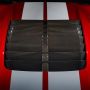 Ford Racing M-16612-C20 2020-2022 GT500 Carbon Fiber Hood Vent Kit