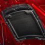 Ford Racing M-16612-C20 2020-2022 GT500 Carbon Fiber Hood Vent Kit