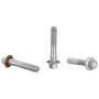 Ford Racing M-19216-D46 1996-2010 Mustang A/C Eliminator Kit