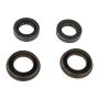 Ford Racing M-4413-B Mustang Super 8.8 IRS Bearing & Seal Kit