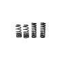 Ford Racing M-5300-B 1979-2004 Mustang Front/Rear Spring Kits