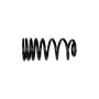Ford Racing M-5300-B 1979-2004 Mustang Front/Rear Spring Kits