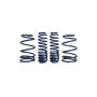 Ford Racing M-5300-L 2007-2014 Mustang Shelby GT500 Springs