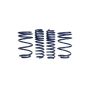 Ford Racing M-5300-L 2007-2014 Mustang Shelby GT500 Springs