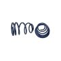 Ford Racing M-5300-L 2007-2014 Mustang Shelby GT500 Springs