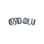 Ford Racing M-5300-L 2007-2014 Mustang Shelby GT500 Springs